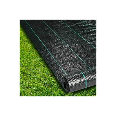 China New Home Eco Friendly High Quality Grass Cloth PP Material Multi-size Optional for sale