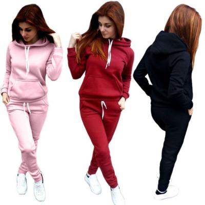 China Low MOQ QUICK DRY polyester hoodie tracksuit set 2022 autumn and winter new fleece pants two-piece set women for sale