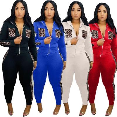 China QUICK DRY cardigan polyester women sets 2022 two-piece new leopard sweater sportswear women sets wholesale for sale