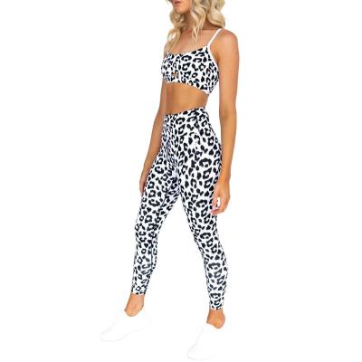 China Antibacterial Yoga Two Piece Tight Set Women Autumn White Leopard Stitched Yoga Sets for sale