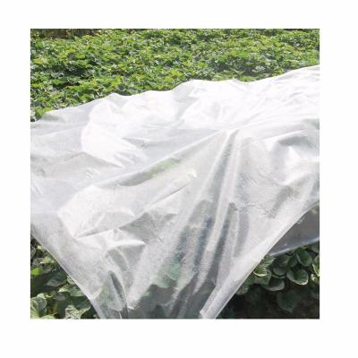 China Waterproof Non-woven Fabric For Cultivation Greenhouse Flowers And Plants Anti-insect Eco-friendly Cold-proof for sale