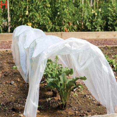 China Waterproof agriculture pp spunbond nonwoven fabric /agriculture plant cover for plant, flower bag, fruit protection bag for sale