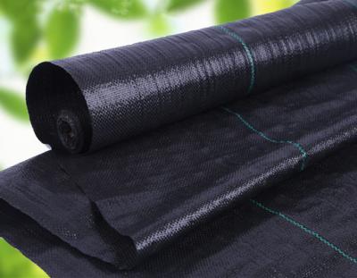 China Plastic Ground Cover For Vegetable Black Or Green Agricultural PP Weed Barrier Control Mat Ground Cover for sale