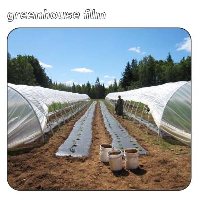 China Greenhouse cover China manufacture 3-layer 5-layer plastic sheets cover PE greenhouse film for sale