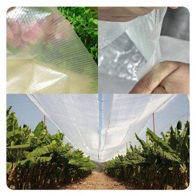 China Greenhouse cover Hot selling transparent hail-proof orchard plastic rain protection cover for sale