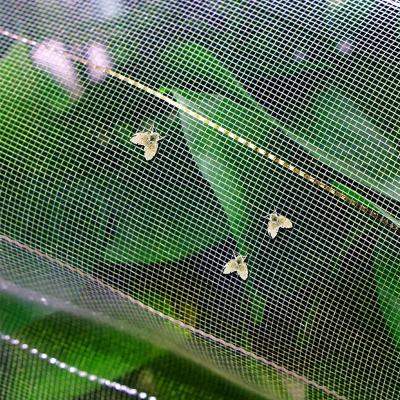 China UV Resistant HDPE Masterbatch UV Stabilized insect barrier netting  mesh for garden corp for sale