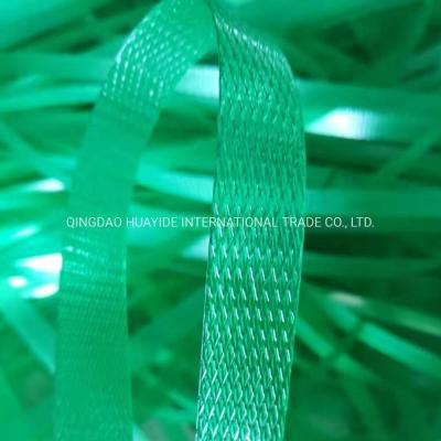 China Customizable PET Strap Band Production Line for Different Packing Strap Specifications à venda