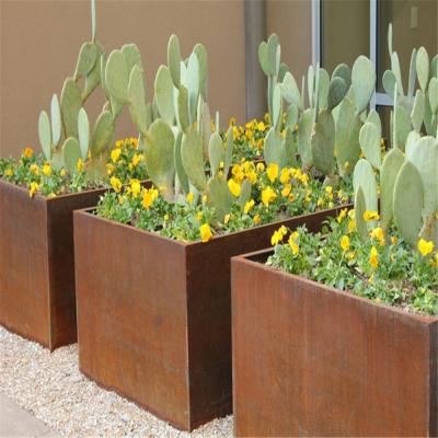 China european style corten steel planter box for sale