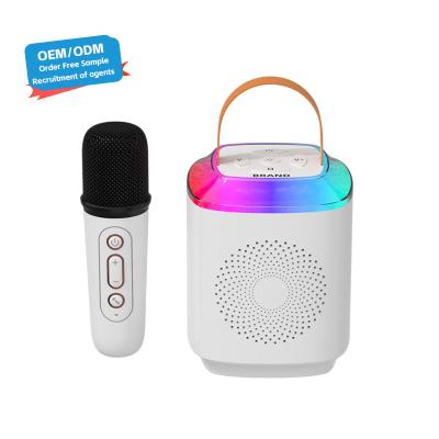 China Outdoor DJ Party Karaoke Speaker With Wireless Microphone And Bluetooth Communication for sale