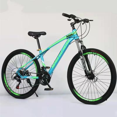 China Steel Variable Speed ​​Mountain Bike All Terrain Fat Bike Green Foldable Electric Bike for sale