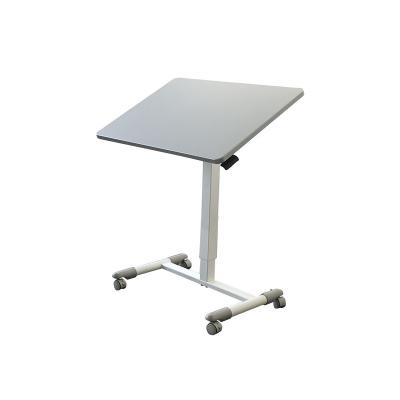 China (Size) Factory Price Ergonomic Adjustable Cheap Professional Electric Lift Desk For Work Study for sale