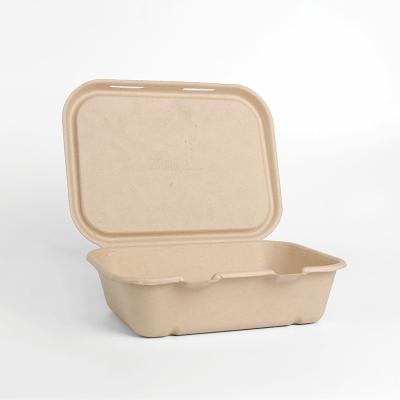 China Eco Friendly Disposable 100% Compostable Recyclable Take Away Lunch Box With Lid for sale