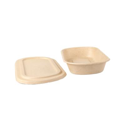 China Recyclable Multifunctional Eco-friendly Degradable Disposable Take Out Food Box With Lid for sale