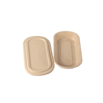 China Large Size Disposable Customizable Recyclable Bento Box Compostable Food Packaging for sale