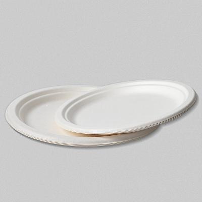 China Disposable Eco Friendly Bagasse Standard Size Goods Stain Party Biodegradable Dishes for sale