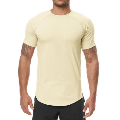 China Hot Sale 2022 Summer Plain Cotton T-shirts Mens Round Neck Shirt Breathable Anti-pilling Gym Fitness Wear for sale