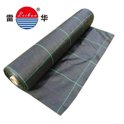 China NTPEP Certification BIODEGRADABLE Polypropylene Geotextile zu verkaufen