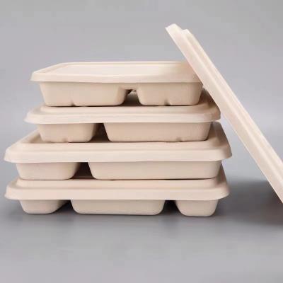 China Minimalist 5 COM Food Container Packing Box Bagass Disposable Biodegradable Fast Food Box for sale