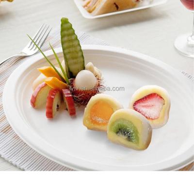 China Minimalist Wholesale Biodegradable Sugar Cane Plates Bagasse Disposable Tableware for sale