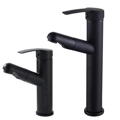 China Pull Out Luxury Single Handle Bathroom Sink Basin Faucet Double Control Hot And Cold Spray Basin Faucet Bathroom Faucet for sale