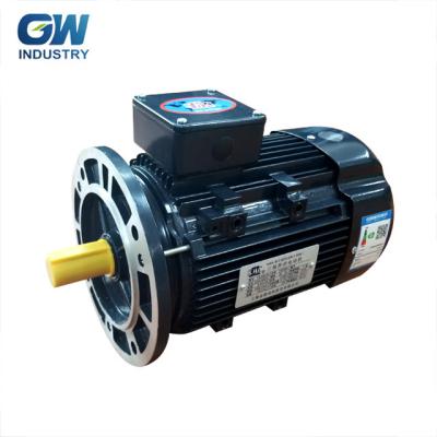 China high efficiency yl8024 yl90l-2 3hp 2.2kw 2800rpm induction drip proof GW electric motor single phase for sale