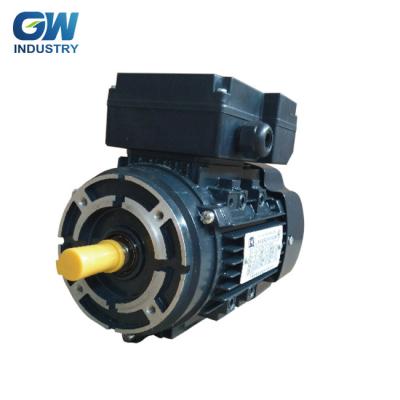 China GW Drip Proof 220V ELECTRIC 3 Phase Electric Rotisserie Motor for sale