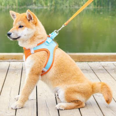 China Pet Leash Cat Chest Harness and Dog Viable Vest Style Walking Rope for sale