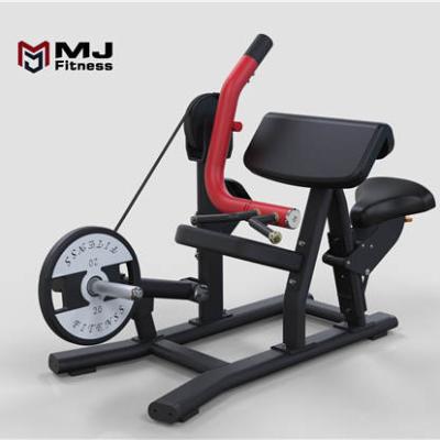 China Commercial Use Gym Fitness Equipment 45 Degree Biceps Training Equipment Gym Equipment for sale