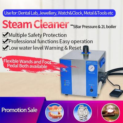 China Steel Steam Cleaning 5 Bar Pressure With Flexible Wand Plus Foot Pedal Low Water Level Warning Easy Operate 2L Dental Steam Cleaner for sale