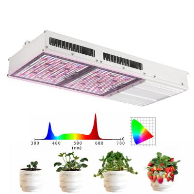 China 1:1 Replacement 1000W Hps High PPFD 800w Led Grow Light 1:1 Replacement For Hps 1000w Grow Lamp Fixture Full Spectrum Greenhouse For Herbal Medicine for sale