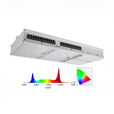 China 1:1 10 Years OEM Factory Best Indoor Plant Replacement 1000W Hps ODM Spectrum UV LED Grow Light Strip IR Dimmable 780W 800W 820W Full Grow Light for sale