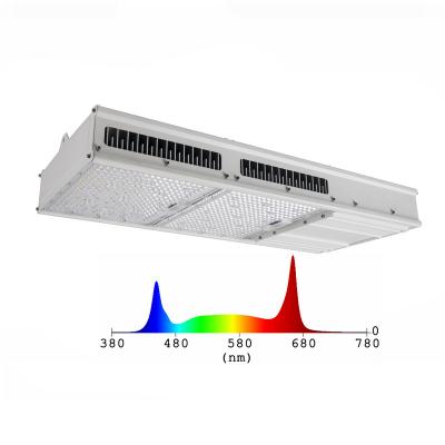 China 1:1 Replacement 1000W Hps Plant Directly Customized HPS Replacement Commerical Samsung Meanwell Dimmable Greenhouse IR UV Grow Light For Medicinal Plants for sale