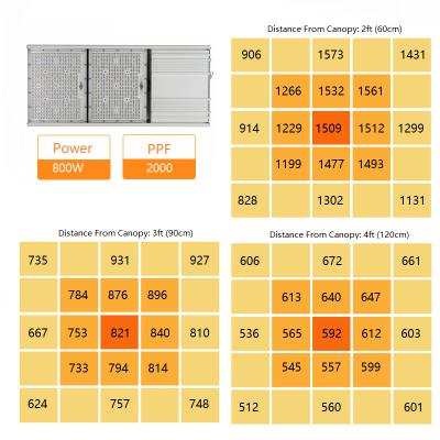 China 1:1 Smart Replacement 1000W Hps Plant High Efficiency Wide Beam Angle Dimming Full Spectrum 660nm 800w LED Bar Grow Light For Hydroponics Plant Growth for sale