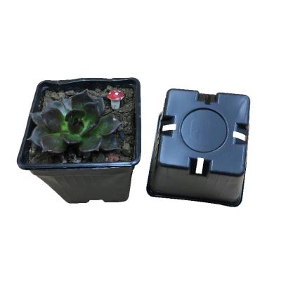 China Eco-friendly good quality blister products such as torus flowerpot and water tray for sale