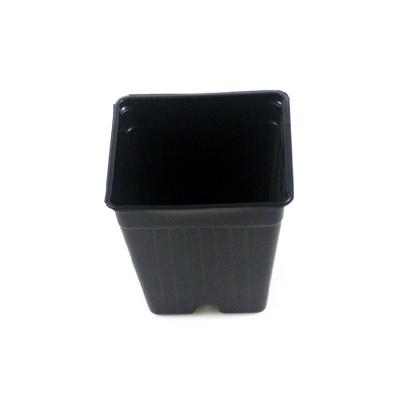 China High quality and eco-friendly plastic flower pots PS eco-friendly for growing and planting flowers for sale