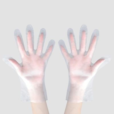 China LDPE Food Polyethylene Disposable Kichen Gloves Plastic Disposable PE Gloves Transparent Clear Bag OEM OEM Customized Logo GUA for sale