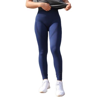 China Breathable Quick Dry Fitness Running Sports Bounce High Lift Leisure Hip Waist Tight Wear Gaiters Yoga Training Pants for sale