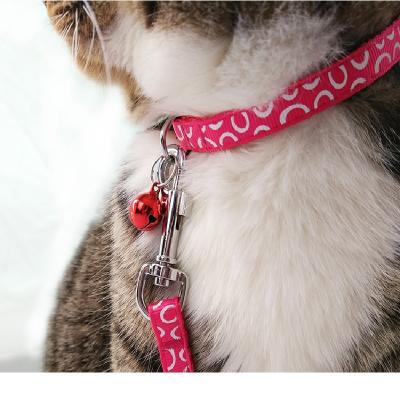 China Personalized Dog Leash Traction Collar Collar Dog Leash Pet Supplies for sale