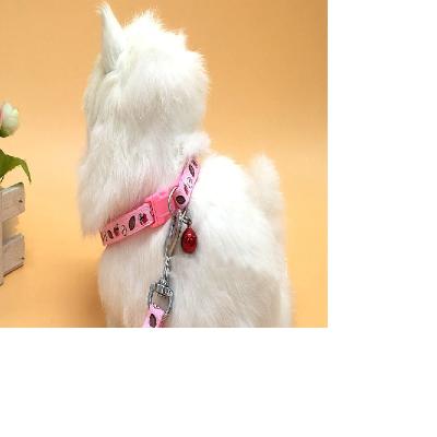 China Customized Universal Cat Collar Cat Leash and Dog Leash Cat Leash Pet Supplies for sale