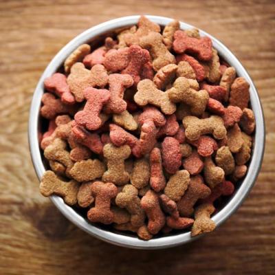 China China's Largest Sustainable Pet Food Factory OEM Quality Cheap Dog Food for sale