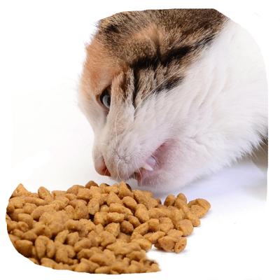 China Viable Wholesale High Quality Pet Factory Cat Food Dry Cat Foods In Bulk for sale