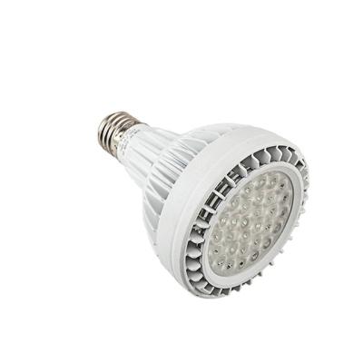 China Hotel hot design new for 2021 high quality aluminum LED Par30 Par30 spotlight par30bulb light source for sale