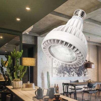 China High Brightness Par30 COB Ceiling Spotlight For Home E27 Recessed Indoor Led Spotlight for sale