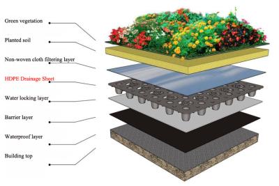 Cina linea attrezzatura dell'estrusione dello strato di drenaggio di 1000mm dell'estrusione dello strato dell'HDPE in vendita