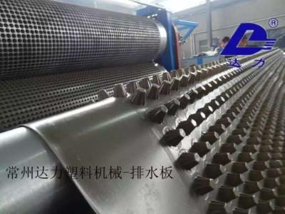 China LLDPE Drainage Sheet Extrusion Line Plant 16mx4.5mx4m for sale