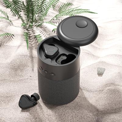 China Creative and Unique B20 Wireless Bass Speaker with TWS 5.1 Earphone Earbuds Inside for iPhone Android Phone for sale