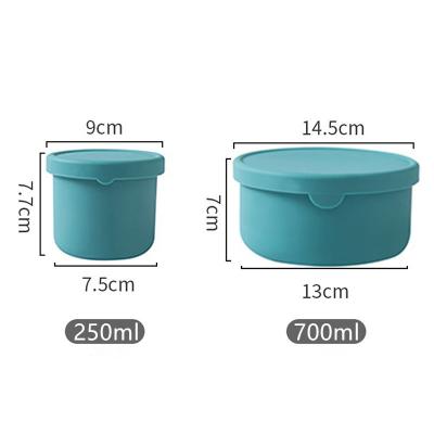 China 2022 Hot Selling 700ml Freshness Preservation For Kids Microwavable Food Packaging Boxes Food Storage Boxes for sale