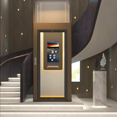 China Modern Hot Selling Mini Home Elevator China Platform Lift Passenger Lift with New Designed HEMUJIA for sale