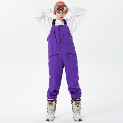 China Ski Pants Waterproof High Quality Custom Made Outdoor Advanced Professional Anti-UV Ski Bib Pants Classic Design for sale