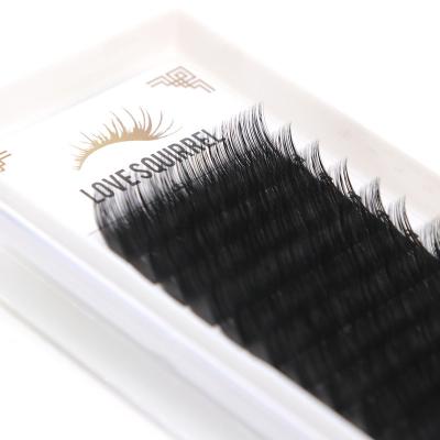 China Natural Korean Eyelash Extensions Wholesale Eyelash Extension Professional With J Since DD L L+ C D CC Loop for sale